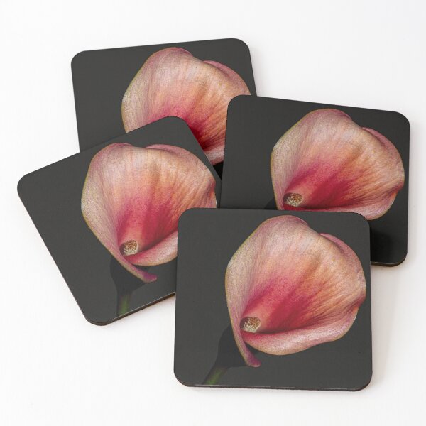 Item preview, Pink Cala Lily  designed and sold by Susanebertphoto.
