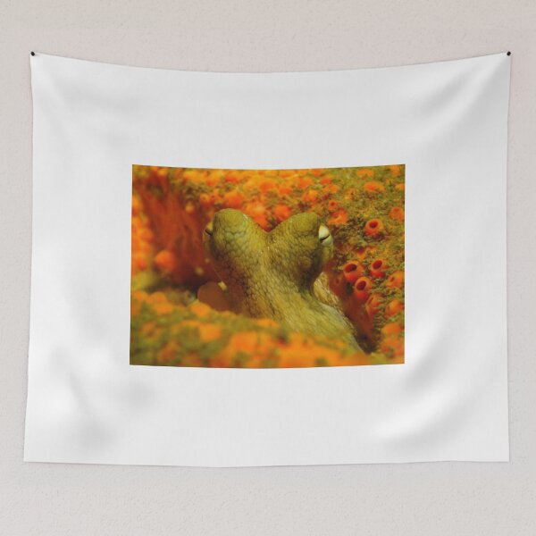 Item preview, Octopus designed and sold by Phillip Hawley.