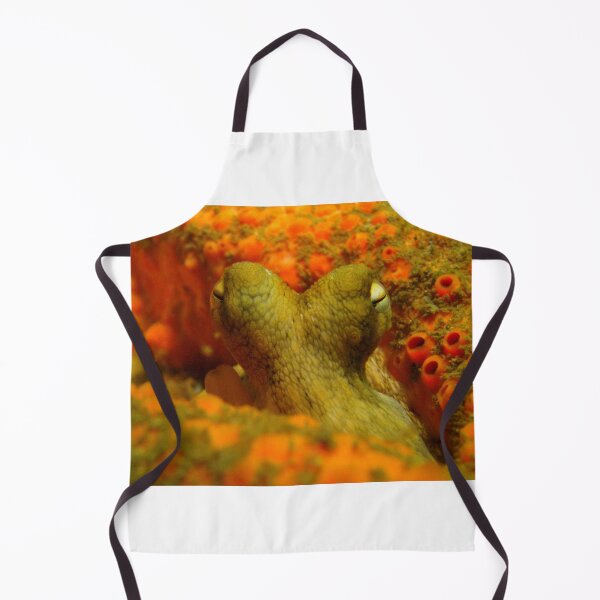 Item preview, Octopus designed and sold by Phillip Hawley.