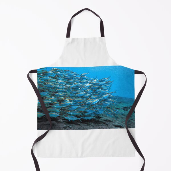 Item preview, School of Fish designed and sold by Phillip Hawley.