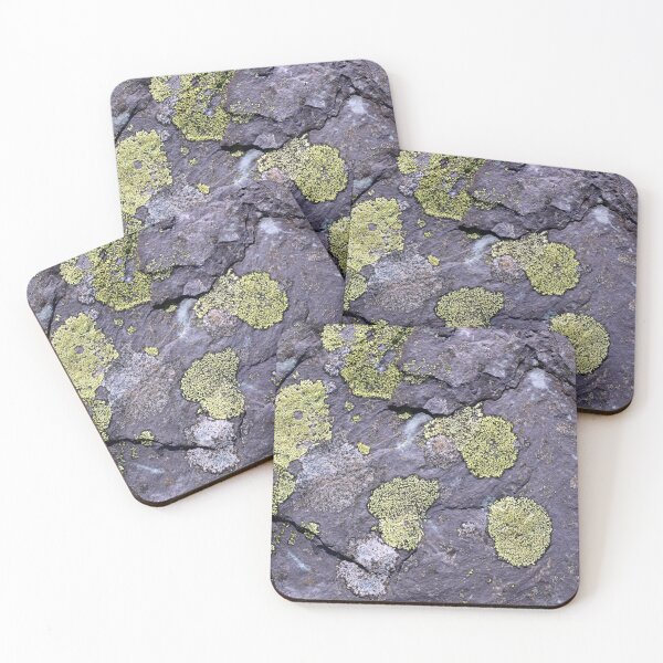 Item preview, lichen designed and sold by KathleenDawson.