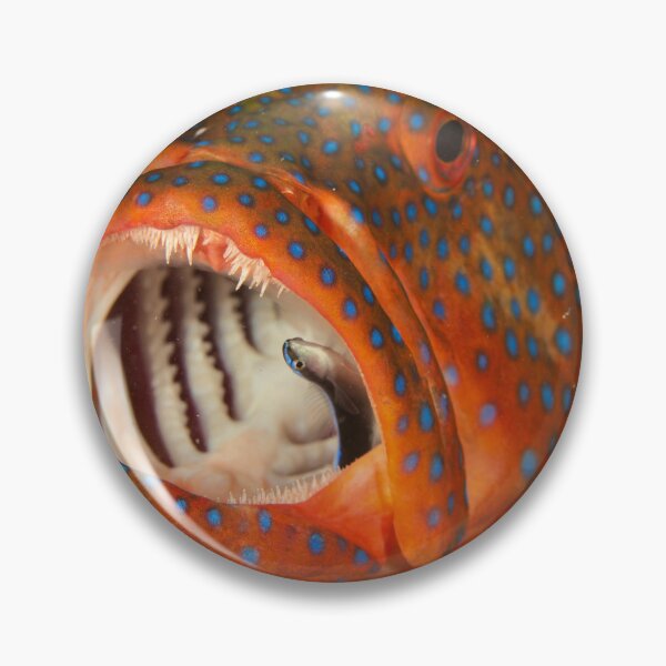 Item preview, Coral Trout designed and sold by Phillip Hawley.