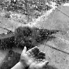 Catch the Rain by Amy E. McCormick