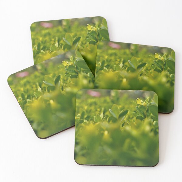Item preview, A lady bugs Haven designed and sold by JoroPrints.