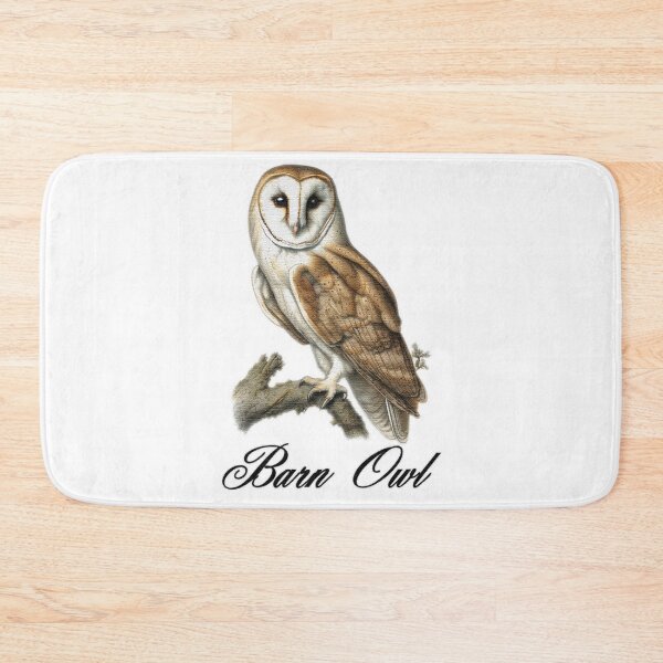 Item preview, Barn Owl  sitting on a branch designed and sold by jnsmerchstore.