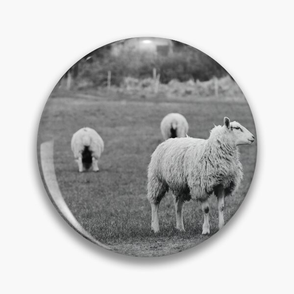 Item preview, Sheepish in Shepton designed and sold by JonDelorme.