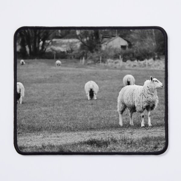 Item preview, Sheepish in Shepton designed and sold by JonDelorme.