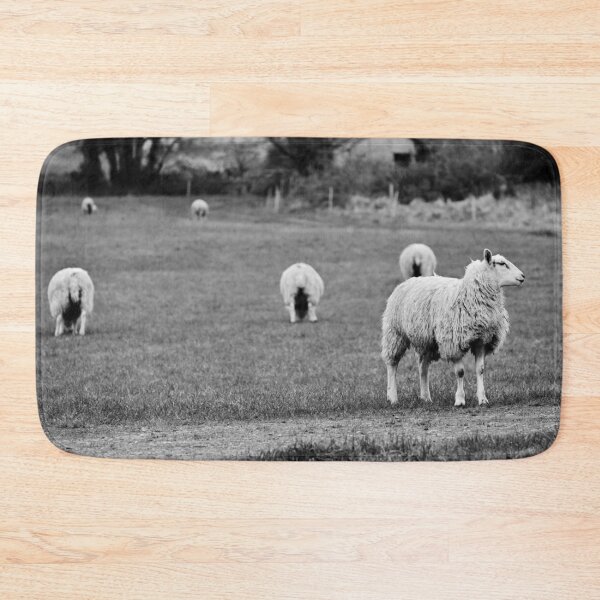 Item preview, Sheepish in Shepton designed and sold by JonDelorme.
