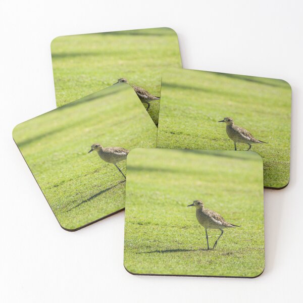 Item preview, Sharp-tailed sandpiper designed and sold by KensLensDesigns.