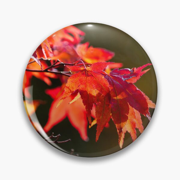Item preview, Acer Leaves in Autumn designed and sold by Dorset Girl.