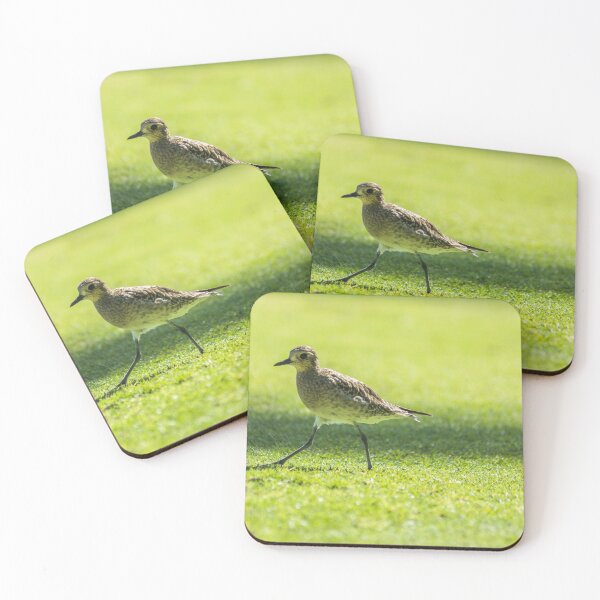 Item preview, Sharp-tailed sandpiper of hawaii designed and sold by KensLensDesigns.