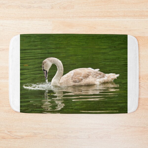 Item preview, Mute Swan Cygnet on a River Chard Somerset designed and sold by Dorset Girl.