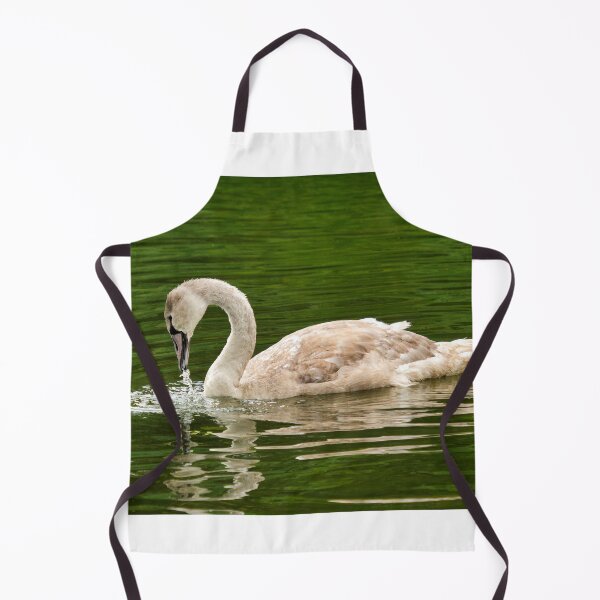 Item preview, Mute Swan Cygnet on a River Chard Somerset designed and sold by Dorset Girl.