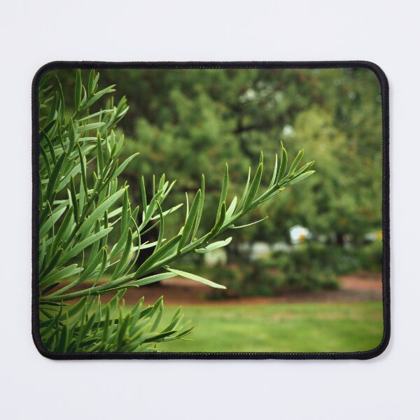 Item preview, Reach Out designed and sold by JoroPrints.