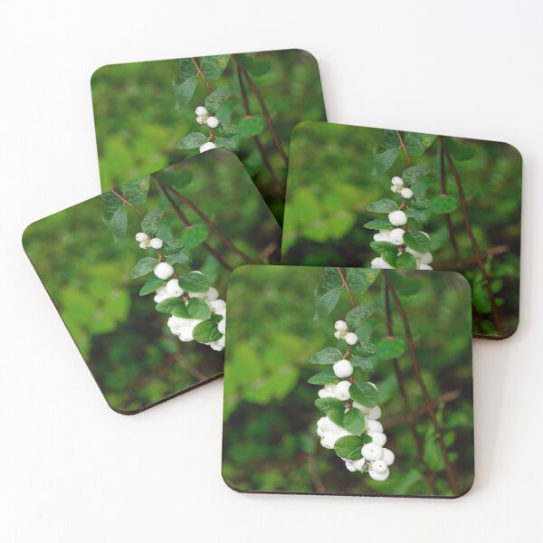 Item preview, Snowberry - Symphoricarpos albus designed and sold by Dorset Girl.