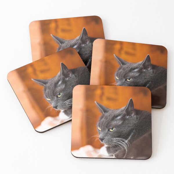 Item preview, Grey cat staring designed and sold by Mikko  Suhonen.