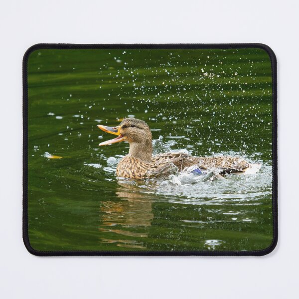 Item preview, Happy Mallard - Anas platyrhynchos designed and sold by Dorset Girl.