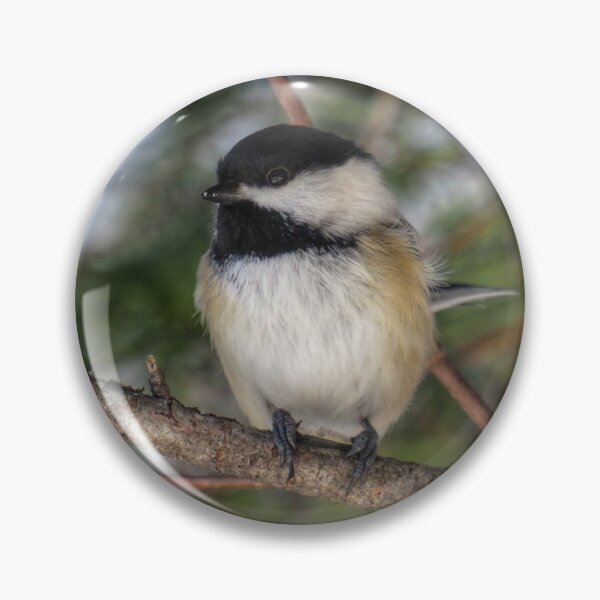 Item preview, Black Capped Chickadee designed and sold by ARiverD.