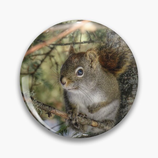 Item preview, Red Squirrel designed and sold by ARiverD.