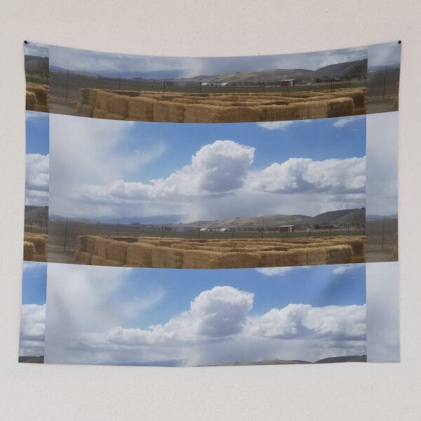 Item preview, hay maze in fall in front of forming cloud wall  designed and sold by richard ely.
