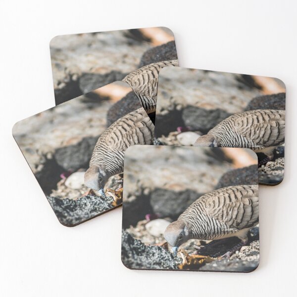 Item preview, Spotted dove of hawaii designed and sold by KensLensDesigns.