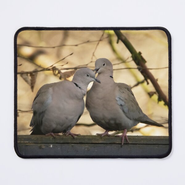 Item preview, Collared Doves canoodling designed and sold by StelleryART.