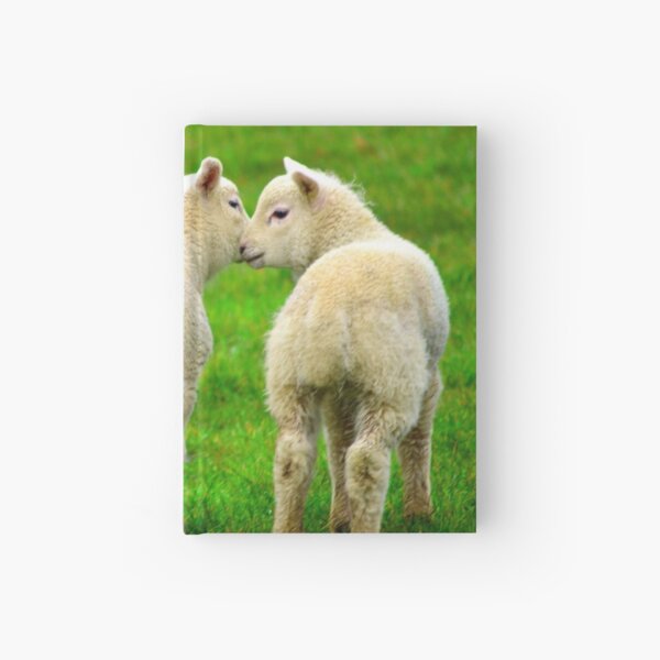 Item preview, Lambs - just good friends! designed and sold by BryanWB.