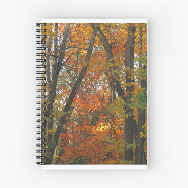 Item preview, Autumn Fire designed and sold by Simple Joys Photography.