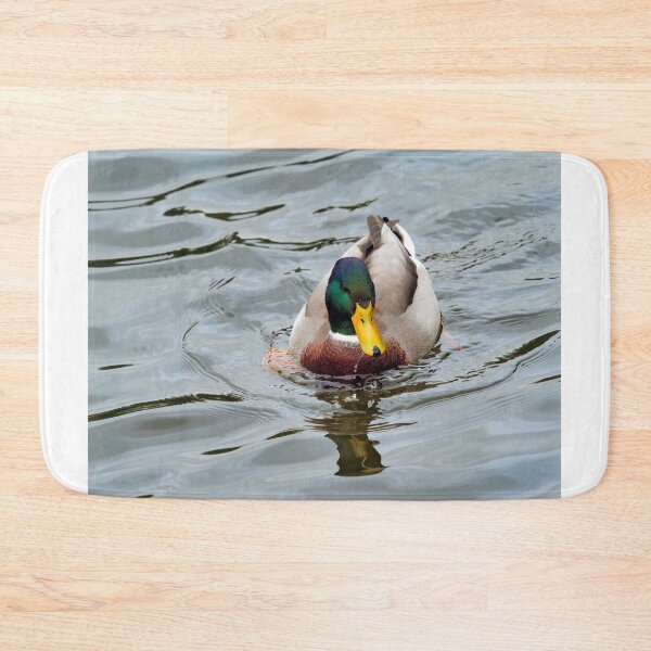 Item preview, Male Mallard with Reflections Swimming on a River designed and sold by Dorset Girl.