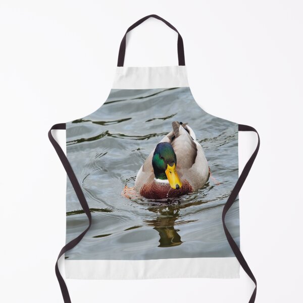 Item preview, Male Mallard with Reflections Swimming on a River designed and sold by Dorset Girl.