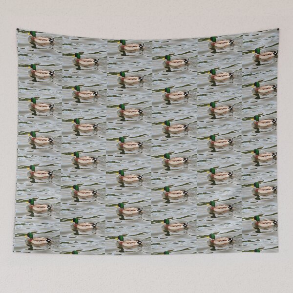 Item preview, Male Mallard with Reflections Swimming on a River designed and sold by Dorset Girl.