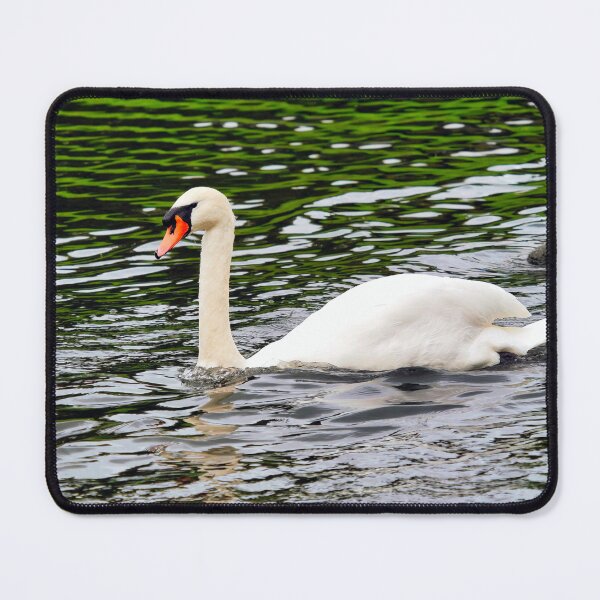 Item preview, White Mute Swan Swimming on the River designed and sold by Dorset Girl.