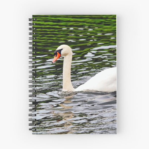 Item preview, White Mute Swan Swimming on the River designed and sold by Dorset Girl.