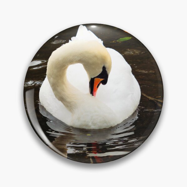 Item preview, White Mute Swan Preening the Feathers designed and sold by Dorset Girl.