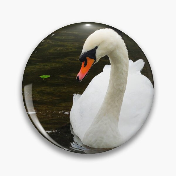 Item preview, White Mute Swan Swimming on the River designed and sold by Dorset Girl.