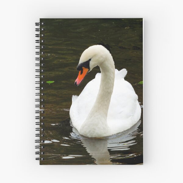 Item preview, White Mute Swan Swimming on the River designed and sold by Dorset Girl.