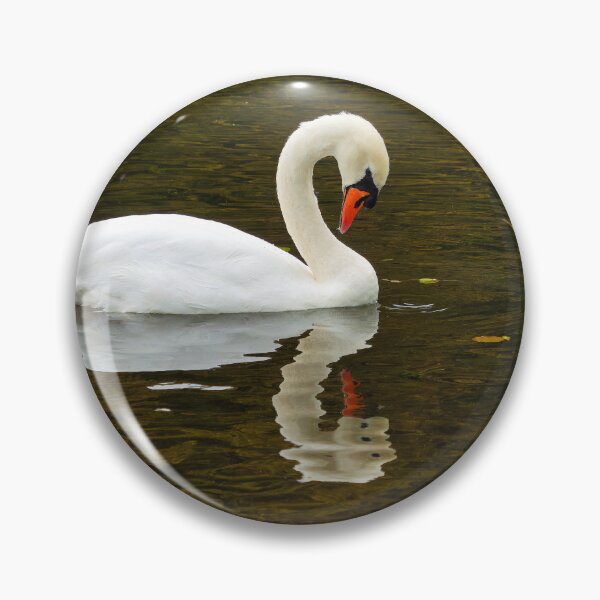 Item preview, White Mute Swan Swimming on the River designed and sold by Dorset Girl.