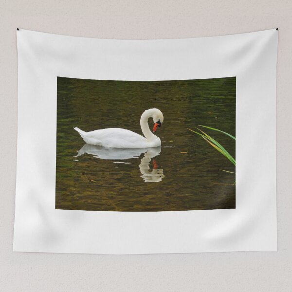 Item preview, White Mute Swan Swimming on the River designed and sold by Dorset Girl.
