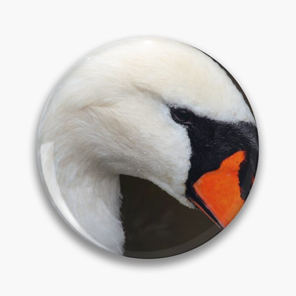 Item preview, Portrait of a White Mute Swan designed and sold by Dorset Girl.