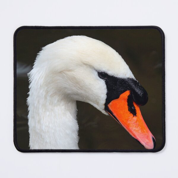 Item preview, Portrait of a White Mute Swan designed and sold by Dorset Girl.