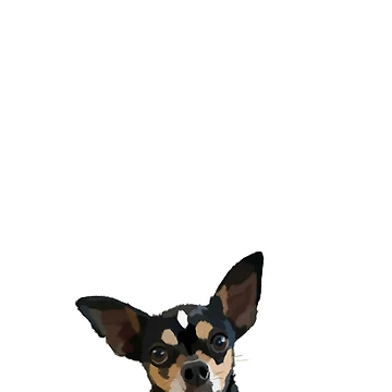 Artwork thumbnail, Chihuahua - Taki by ABsStuff