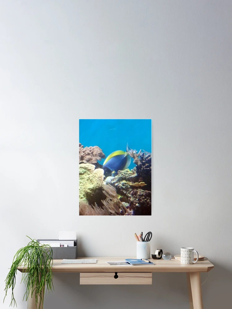 Thumbnail 2 of 3, Poster, Dory designed and sold by Purpleartichoke.