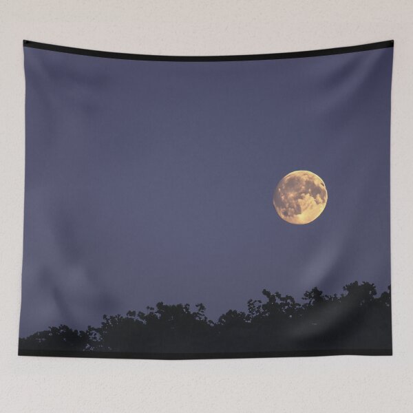 Item preview, Moonrise designed and sold by LionBrew.