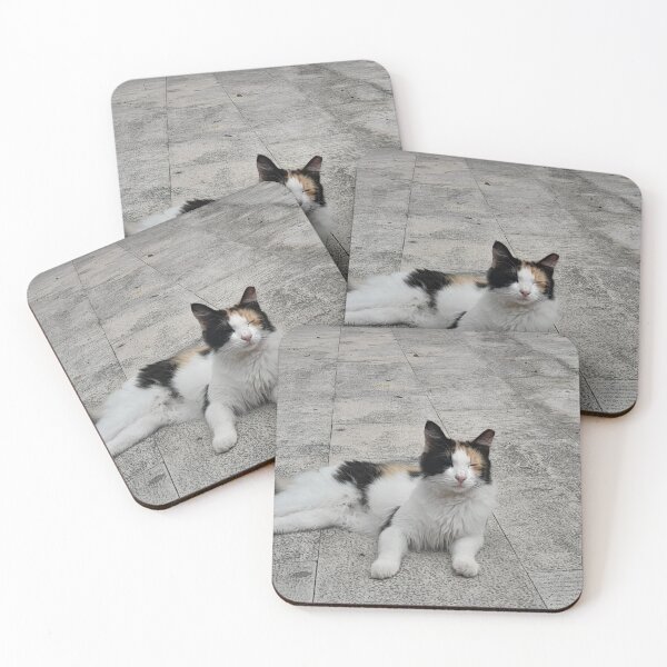 Item preview, Lying tricolour cat from Croatia designed and sold by bartekg3.