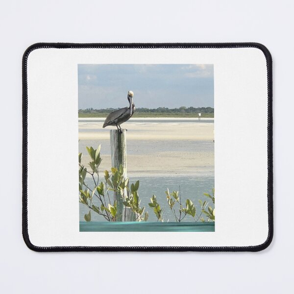 Item preview, Pelican on the Inlet designed and sold by Soulsjourney.