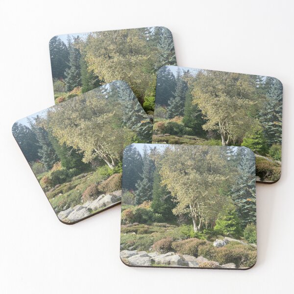 Item preview, lado del risco designed and sold by Aaron Mckeever.