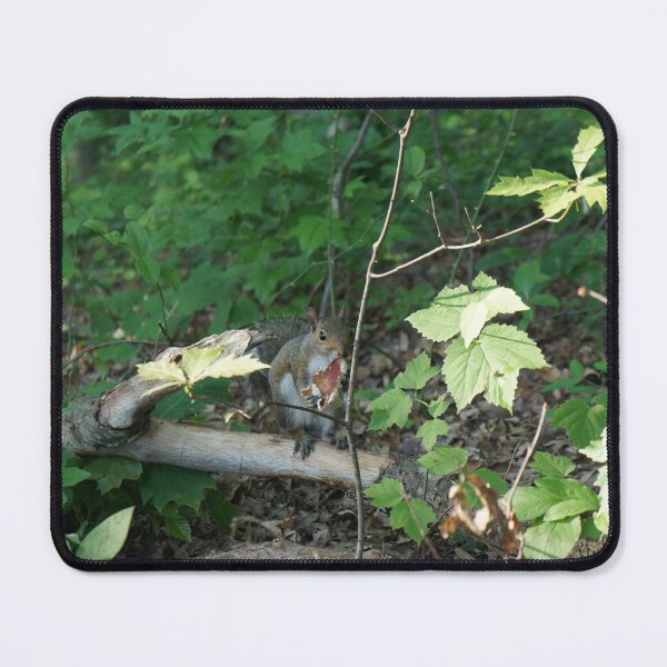 Item preview, Love of a Squirrel in the Woods designed and sold by ankromcreations.