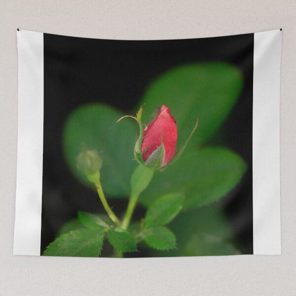 Item preview, Red bud og rose on nature background designed and sold by olena2552.