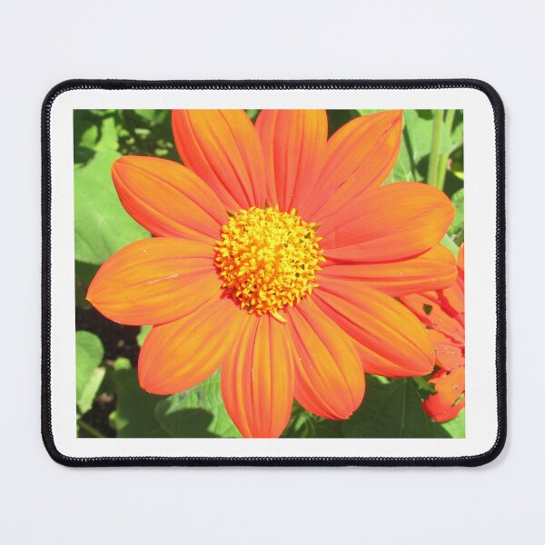 Item preview, Cosmic Boom designed and sold by Simple Joys Photography.