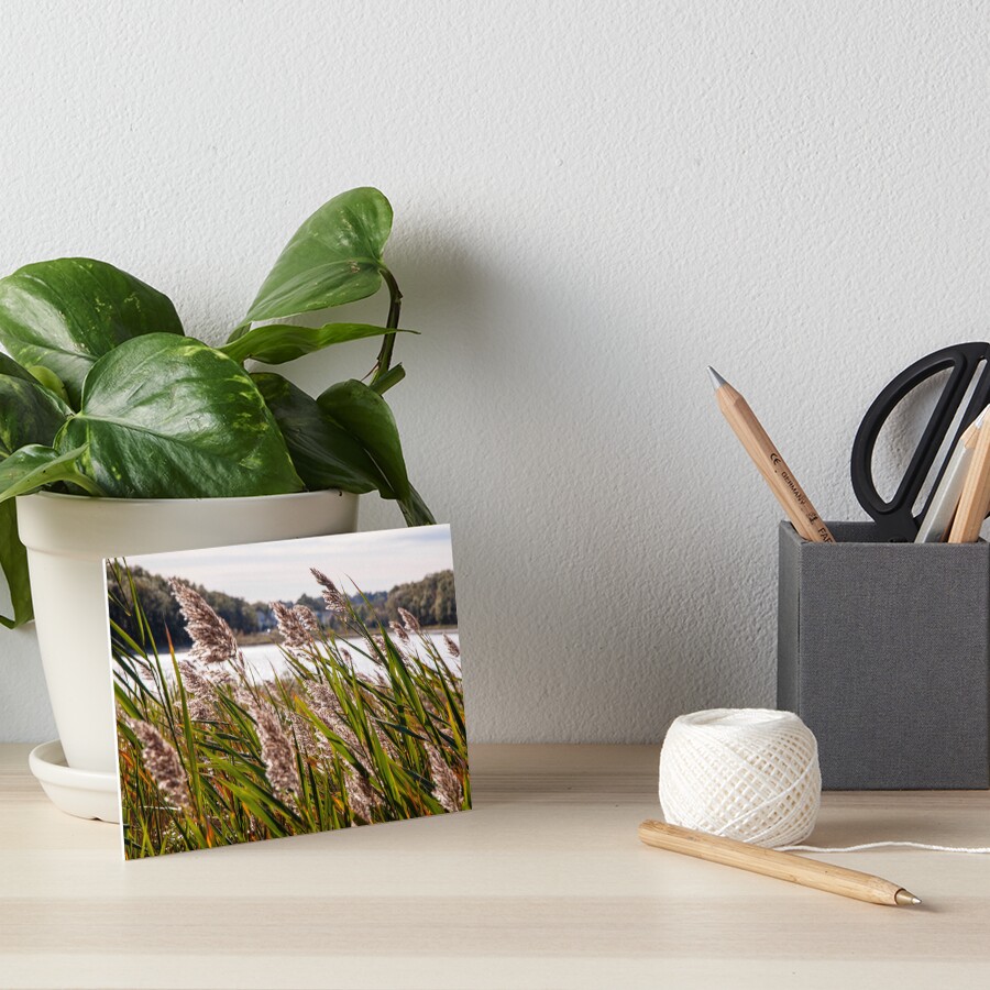 Item preview, Art Board Print designed and sold by Ruthie33.